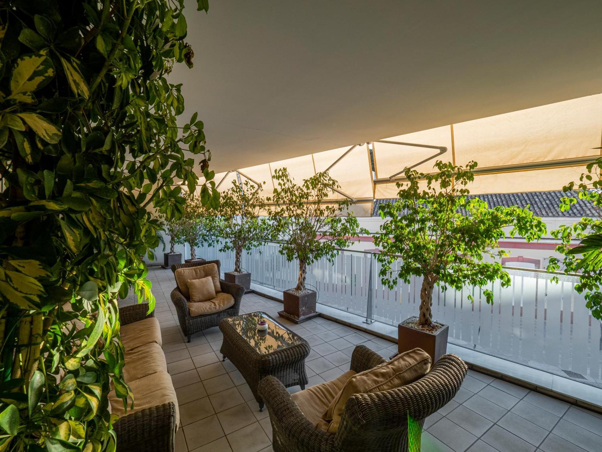 Apto Valdespino Gran Terraza Fjhomefj Jerez de la Frontera Dış mekan fotoğraf